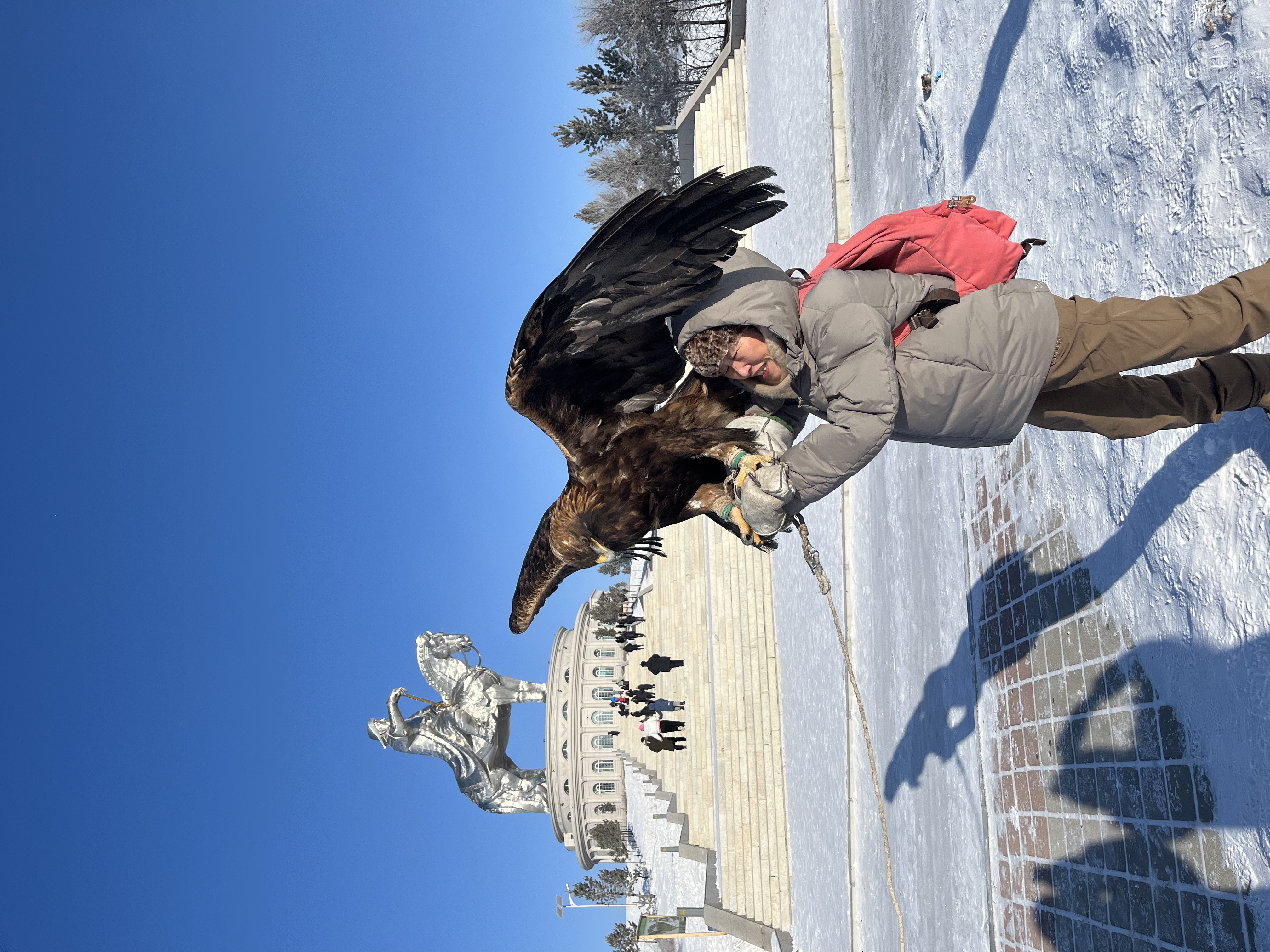❄️ Winter Dog Sledding, Horseback Riding & Traditional Ger Stay in Terelj (2 Days / 1 Night)