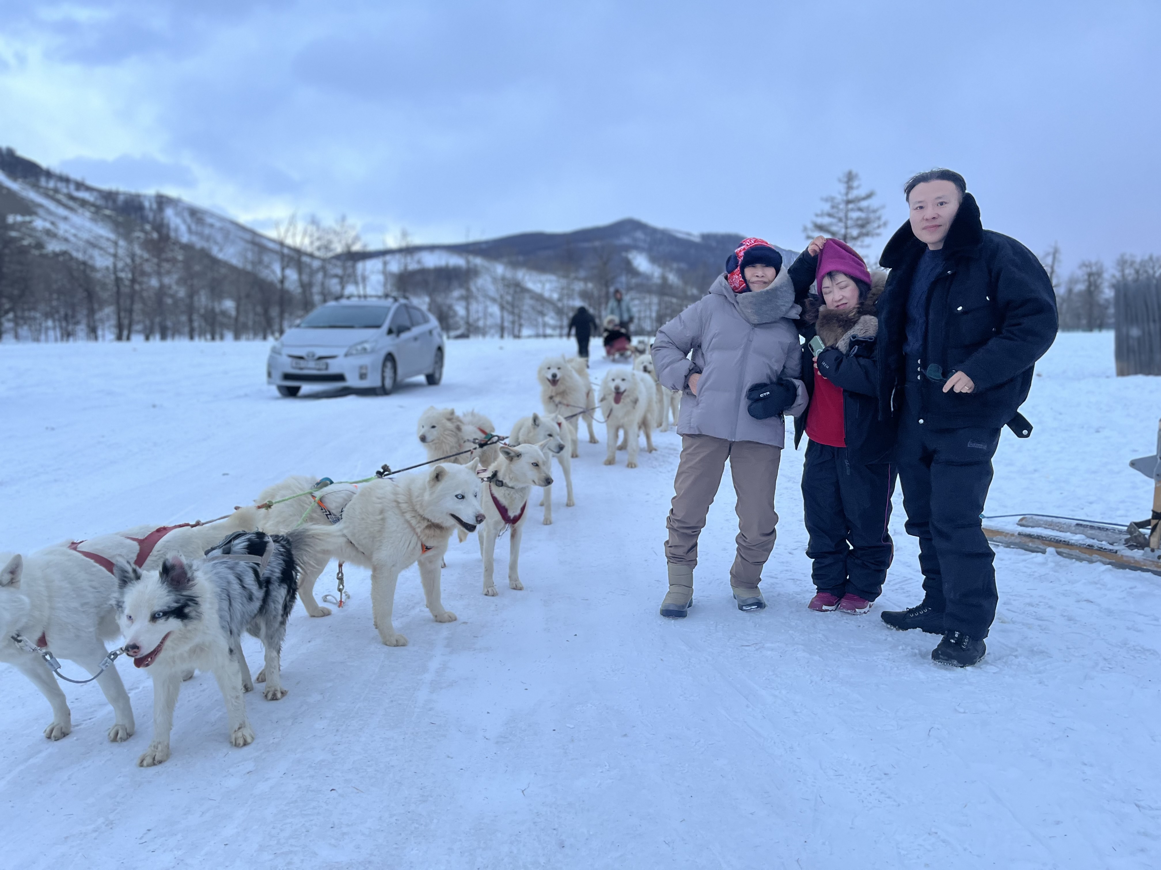❄️ Winter Dog Sledding, Horseback Riding & Traditional Ger Stay in Terelj (2 Days / 1 Night)